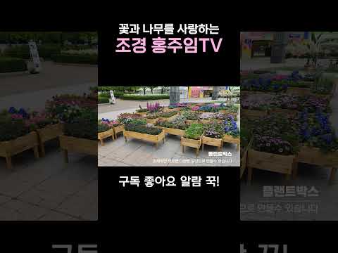 정원아이디어모음  a collection of garden ideas #shorts