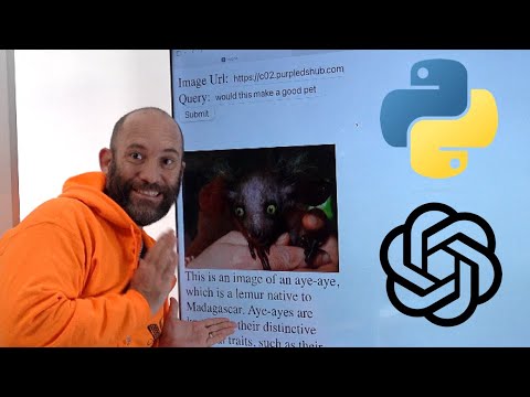DIY: Computer Vision Web App with OpenAI API for Online Images (Python, Bottle, OpenAI)