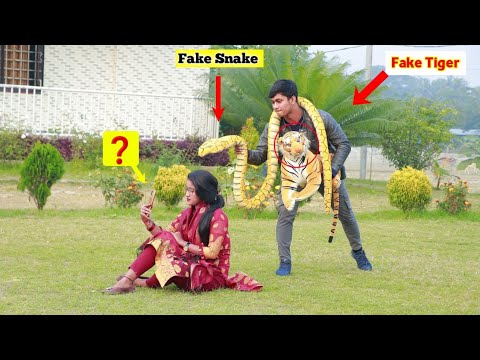 Fake Tiger 🐯 with Fake Snake 🐍 Prank Video 2022 | So Funny Prank Video Awesome Reaction On Public