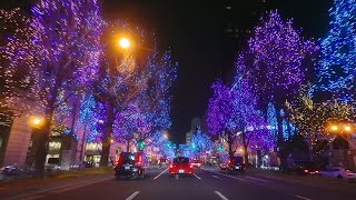 [4K] 御堂筋イルミネーション2023 通り抜け車載動画 Driving through Midosuji Illumination 2023 Osaka Japan