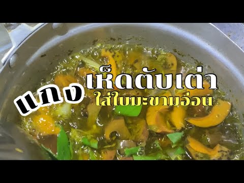 บ้านข่อยเอิ้น เห็ดเผิ่ง (เห็ดตับเต่า)  | แกงใส่ใบบักขามอ่อน ซดน้ำฮ้อนๆ นัวหลายเด้อ