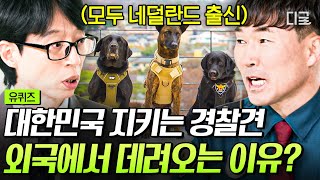 [#유퀴즈온더블럭] 1등 혈통 물려받은 엘리트 경찰견들🐶 우수한 DNA로 범죄로부터 우리를 지켜주다😎