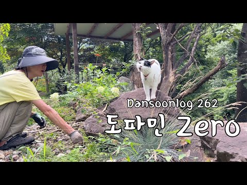 Korean summer rural life vlog 262) Dopamine Zero Life