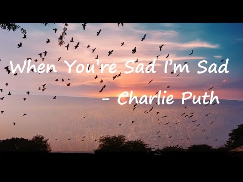 Charlie Puth - When You're Sad I'm Sad Lyrics