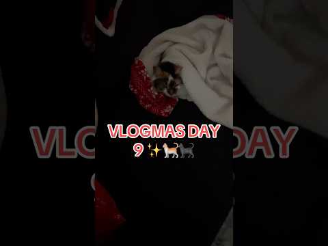 Vlogmas day 9 #vlogmas2024 #dayinmylife #vlogmasvibes