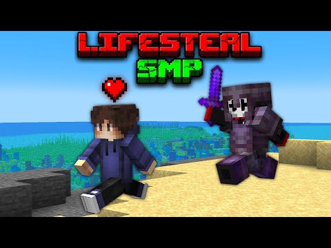 Playing a NEW Public Lifesteal SMP!