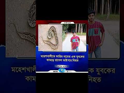 রাসেল ভাইপার 🐍😂 #shortvideos #viral