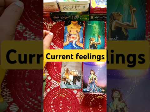 Current feeling of your person #currentfeelingstoday #tarot #tarotcardreading #trending #viralshorts