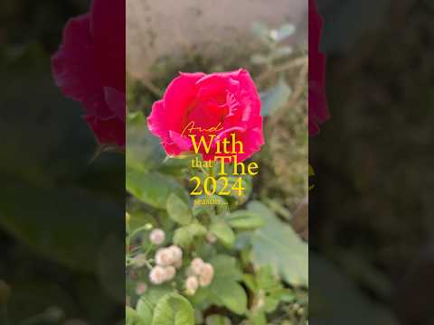 Happy New Y2025, garden glimpse of 2024 memories (S-149) #shorts #youtubeshorts #gardening #ytshorts