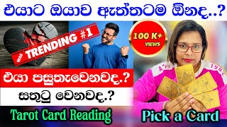 එයාට ඔයාව ඇත්තටම ඕනද..?🤔|Does He Really Want You? Discover the Truth with Tarot Cards