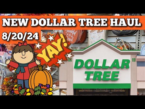 Fun for Fall and More Dollar Tree Haul 8/20/24