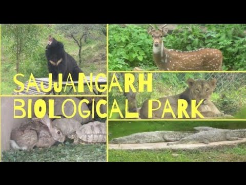 sajjangarh biological park udaipur || सज्जनगढ़ बायोलोजीकल पार्क || सज्जनगढ़ जैविक उघान