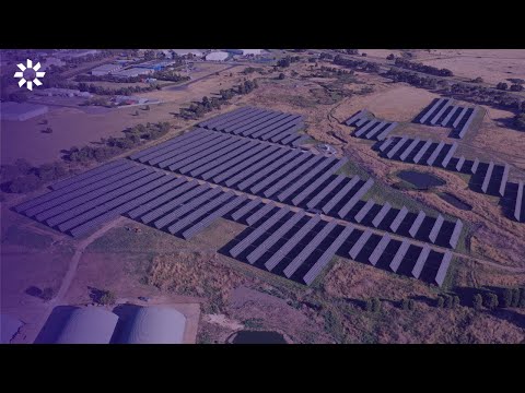 Smart Commercial Solar: Agri-solar Showcase