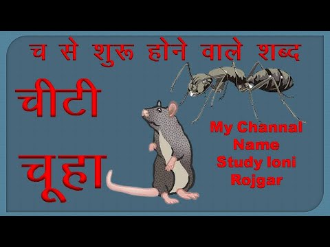 च से शुरू होने वाले शब्द | च से बनने वाले शब्द | च अक्षर से शुरू होने वाले शब्द | च से शुरू |