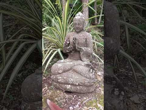 Ancient Buddha Discovered on a Remote Island