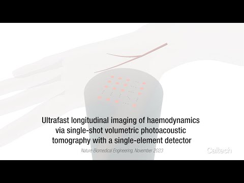 Photoacoustic Computed Tomography through an Ergodic Relay (PACTER)