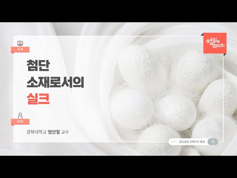 24.09.20 금요일에 과학터치(부산) - 첨단소재로서의 실크: 최고의 입는 소재에서 바이오소재로의 진화