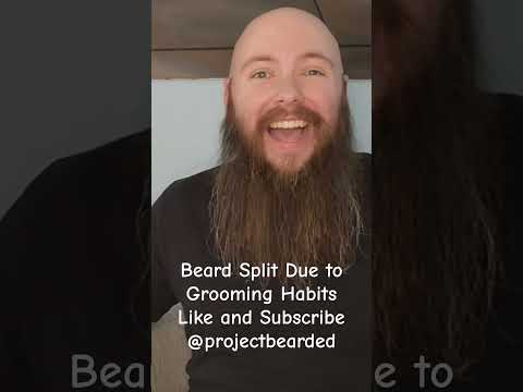 Beard Split Due to Grooming Habits #bearding #beard #beards #beardstyle #menshealth #barber #hair