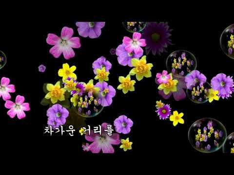 박윤경 ~ 부초