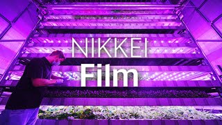 【アクアポニックス】工場がタワー農場に変身　ベルリンで進化する都市農業【NIKKEI Film】