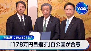 「178万円目指す」自公国が合意　“年収の壁”25年から引き上げ【WBS】