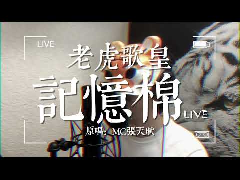 老虎歌皇《記憶棉》Live 原唱：MC 張天賦