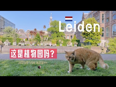 出去玩44-在莱顿植物园看小猫捕猎？！ Hortus Botanicus Leiden | botanicatz  荷兰旅游 | 胖仔的荷兰日记 Pangzai's diary 20230708