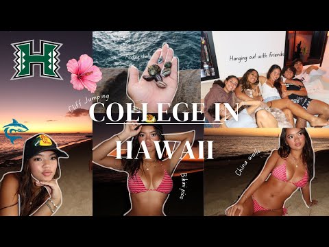 COLLEGE IN HAWAII: DAY IN MY LIFE *freshman year* | cliff jumping+ late nights