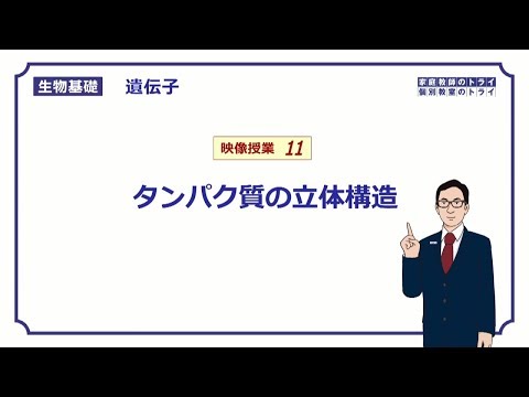 【生物基礎】　遺伝子11　タンパク質の立体構造 （１２分）