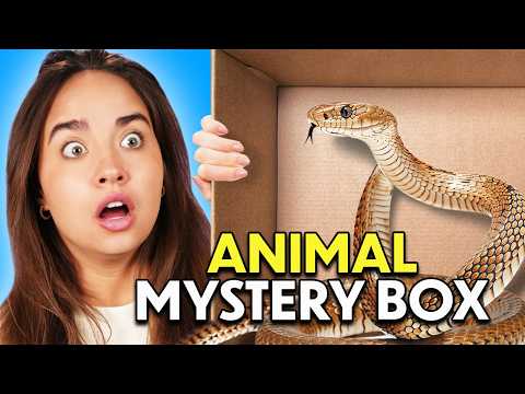 Guess The Animal In The Mystery Box!