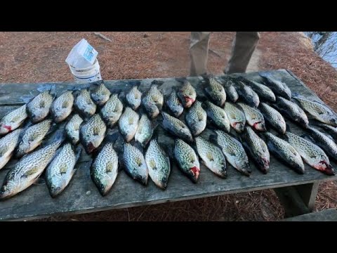 Ultimate Fall Crappie Fishing Tips