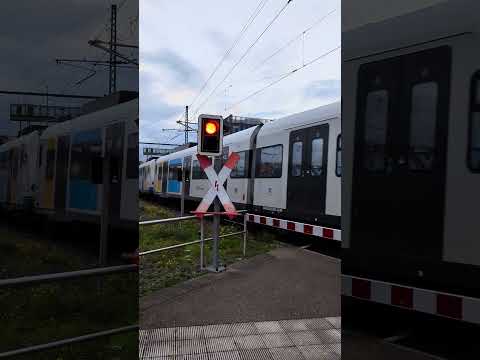 S-Bahn leaving Wendlingen Station #germany #trainlover #train #kirchheim