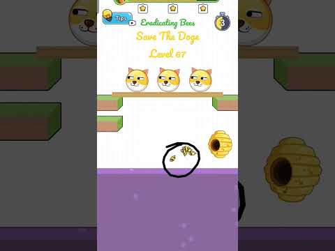 Eradicating Bees. Save The Doge Level 67. #savethedoge #gameplay #walkthrough #gaming #shorts #games