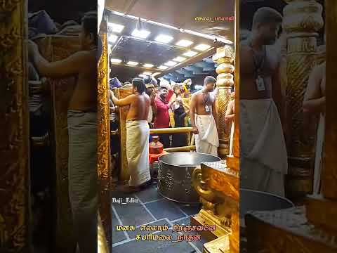 ஜோதி வடிவில் கண்டோம் ஐயனை சுவாமியே சரணம் ஐயப்பா 🙏    ayyappa  ayyappan  sabarimala  sabarimalai