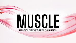 muscle (morphic field)