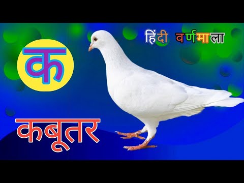 ka se kabutar kha se khargosh / क से कबूरतर ख से खरगोश / हिंदी वर्णमाला स्वरव्यंजन @Nursery Classes