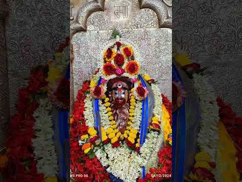 Joy tara🌺 taramaa tarapith 🌺#bhakti #maa #tarapith #maatara #kalimaa #shorts #song #bengali #darshan