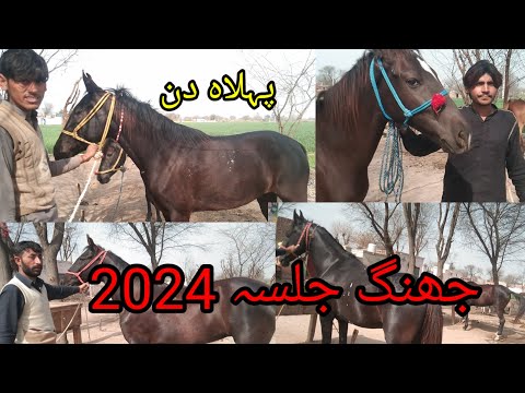 jhang aspa mela 22.2.2024 jhang horse Mandi festival 2024