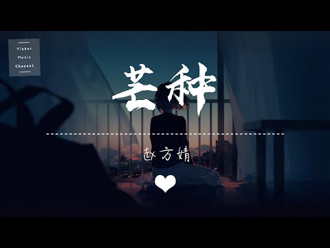 赵方婧 - 芒种 「一想到你我就wu」【动态歌词Lyrics】