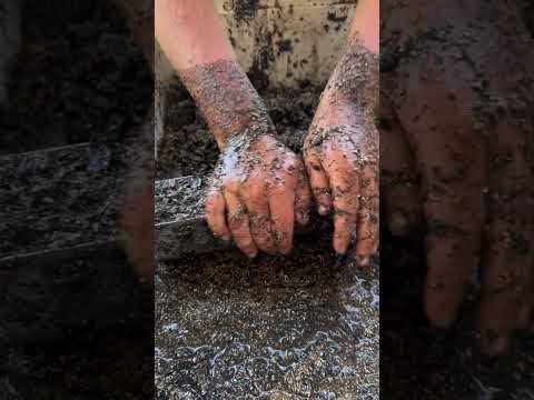 Don’t Think Your Kids Can Help With Farm Chores?  Think Again!  Come Soil Block with Farmer Ellie!