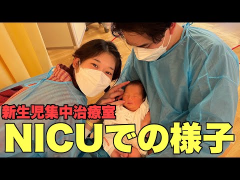 【NICU】新生児にて無呼吸発作で新生児集中治療室に入院、保育器から出られて初抱っこ/乳幼児突然死症候群