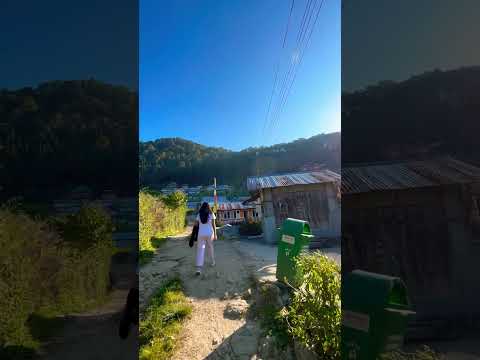 Sillerygaon 😍 #shorts #shortvideo #northbengal #travel