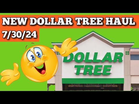 Fun New Dollar Tree Haul 7/30/24