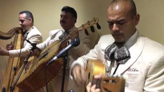 Mariachi Los Camperos (LIVE @ LA FONDA) - Los Arrieros/Las Olas featuring Tony Zuniga