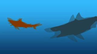 Bull Shark Vs Cretoxyrhina