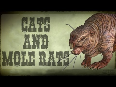 The Storyteller: FALLOUT S4 E11 - Cats and Mole Rats