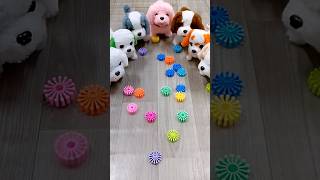 Funny dog video 🦮🐕‍🦺 Satisfying Reverse ASMR soud 🌈 #funydogvideo #youtubeshorts #satisfyingvideo