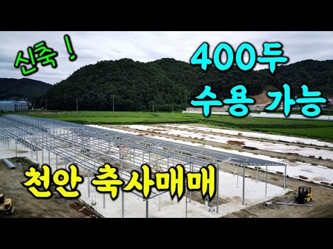 천안 축사매매_우사로 400두 수용이 가능합니다~