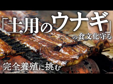 【土用の丑】「土用のウナギ」の食文化守る　完全養殖で天然稚魚不要