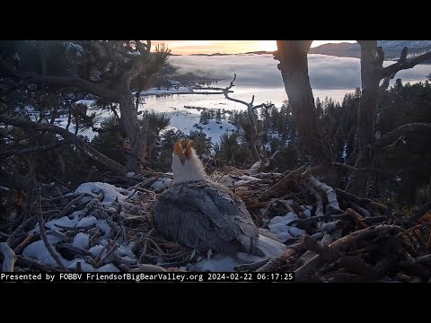 2-22-2024 Morning Eagle Song